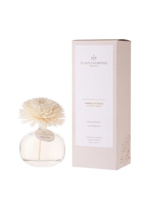 Dyfuzor zapachowy-kwiat (100 ml) Intense Amber Plantes & Parfums