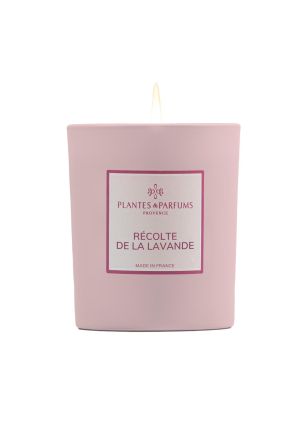 Świeca zapachowa roślinna 180 g Lavender Harvest Plantes & Parfums