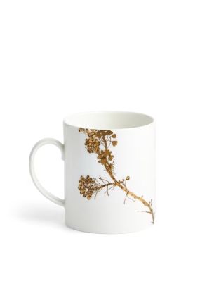 40033718 Kubek Vera Jardin Wedgwood
