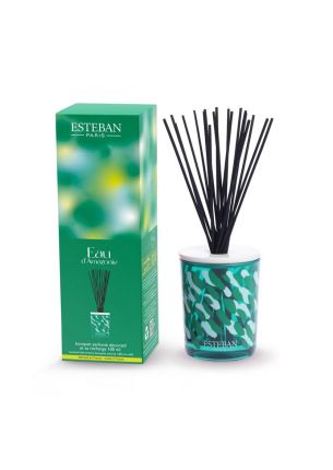 Dyfuzor ozdobny (100 ml) Eau d'Amazonie Esteban