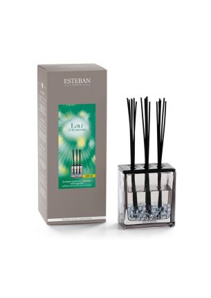 Dyfuzor zapachowy (250 ml) Triptyque Eau d'Amazonie Esteban