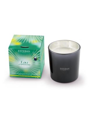 Świeca zapachowa XL Eau d'Amazonie Esteban