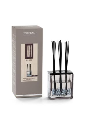 Dyfuzor zapachowy Triptyque (250 ml) Cedre NEW Esteban