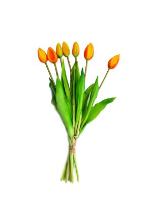 Bukiet (7 kwiatów) żółto-pomarańczowe tulipany Premium Home