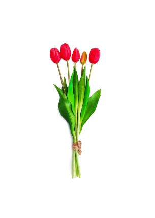 Bukiet (5 kwiatów) różowe tulipany Premium Home 