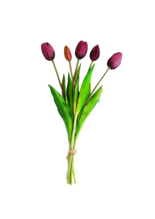 Bukiet (5 kwiatów) fioletowe tulipany Premium Home