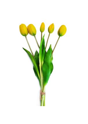 Bukiet (5 kwiatów) żółte tulipany Premium Home