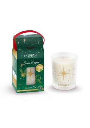 Świeca zapachowa 180 g Sapin Exquis 2024 Esteban