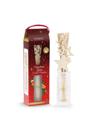 Dyfuzor zapachowy (100 ml) Frosted Mandarin 2024 Esteban