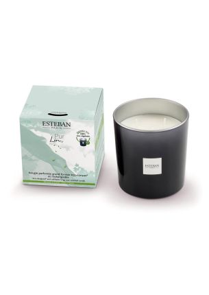 Świeca zapachowa (450 g) Pur Lin Esteban