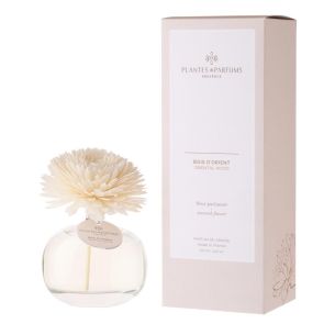 Dyfuzor zapachowy-kwiat (100 ml) Oriental Wood Plantes & Parfums