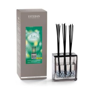 Dyfuzor zapachowy (250 ml) Triptyque Eau d'Amazonie Esteban