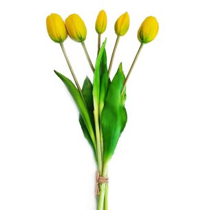 Bukiet (5 kwiatów) żółte tulipany Premium Home