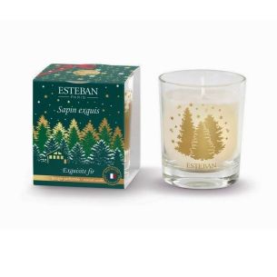 Świeca mini świąteczna (70 g) Exquisite Fir Esteban