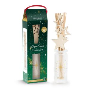 Dyfuzor zapachowy (100 ml) Sapin Exquis 2024 Esteban