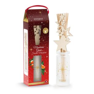 Dyfuzor zapachowy (100 ml) Frosted Mandarin 2024 Esteban